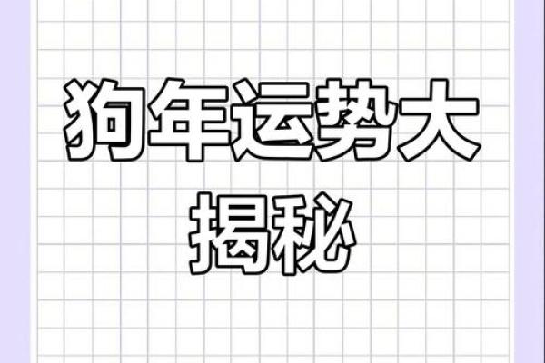 生肖年份如何影响事业与财富运势