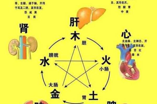 森字的五行属性解析与其在命理中的影响