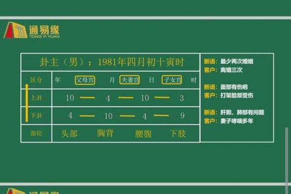 八字绝的含义与影响解析