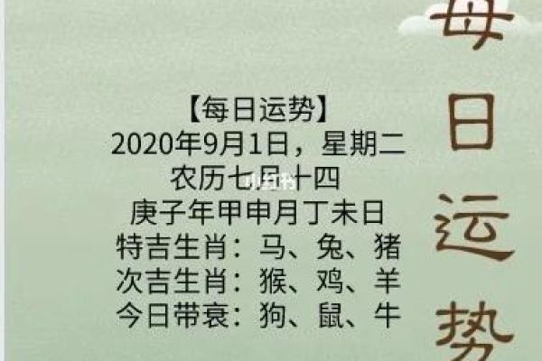 生肖猪今日运势解析：财运、感情与健康全方位分析
