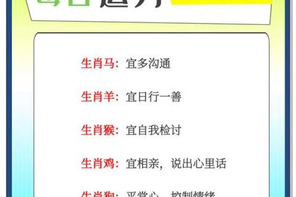 生肖猪今日运势解析：财运、感情与健康全方位分析