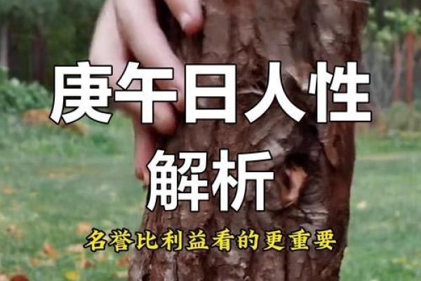 生人的性格与命运运势揭秘