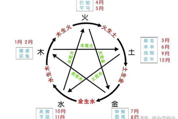 深入探讨金木水火土命与五行运势的关系