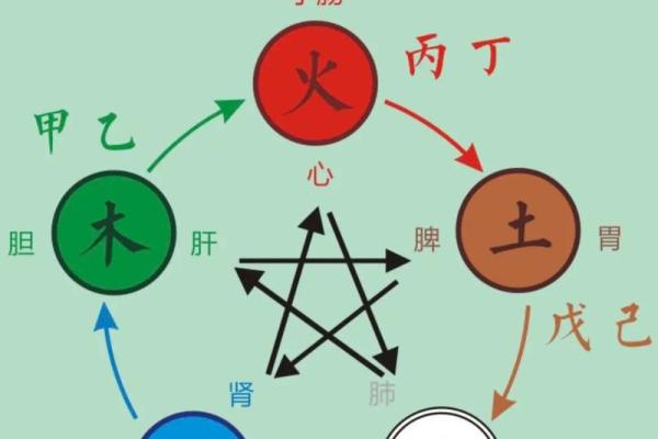 深入探讨金木水火土命与五行运势的关系