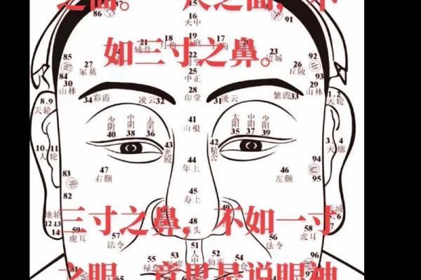 八字中的印象与命运走向的关系解析