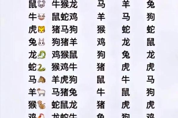探索生肖速配：最佳配对让爱情更美好