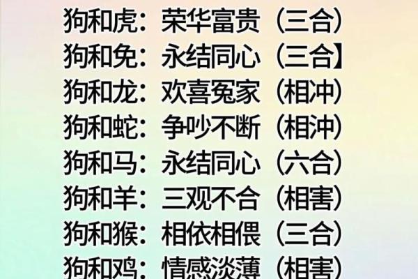 探索生肖速配：最佳配对让爱情更美好