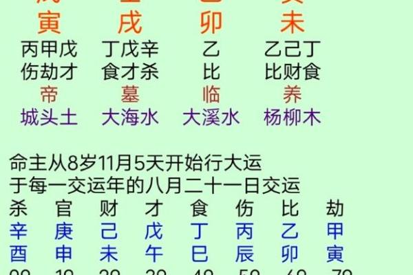 八字免费测试指南：如何通过八字了解你的人生运程