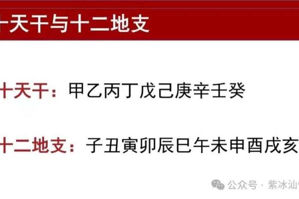 八字免费测试指南：如何通过八字了解你的人生运程