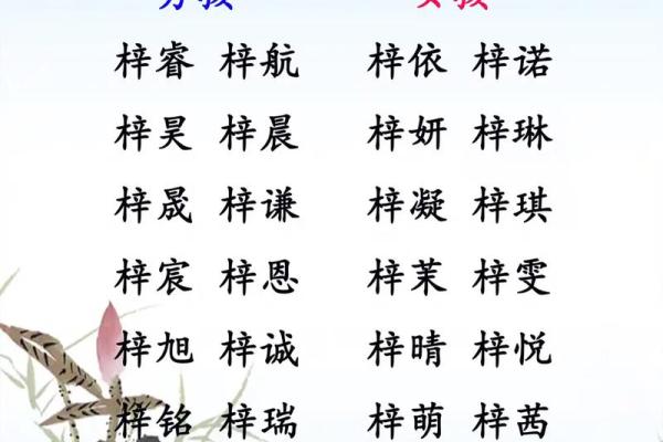 融合火与水元素的独特女孩名字推荐