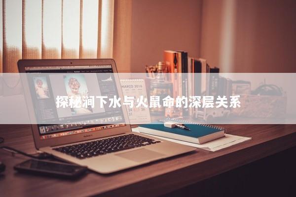 探秘涧下水与火鼠命的深层关系