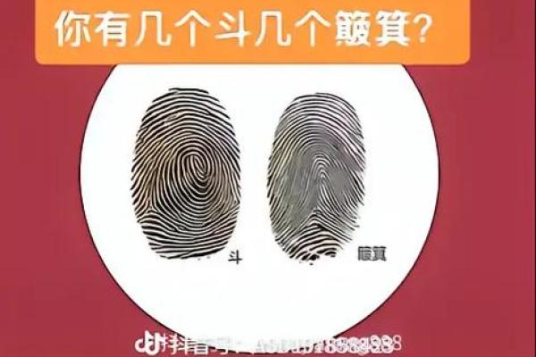 如何通过理解斗簸萁命提升命运分析能力