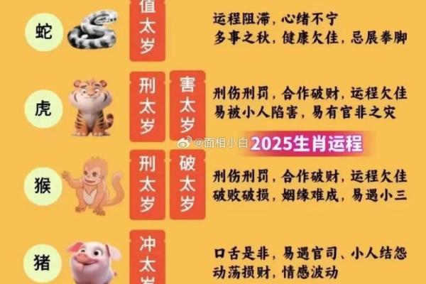 了解卯字背后的生肖意义