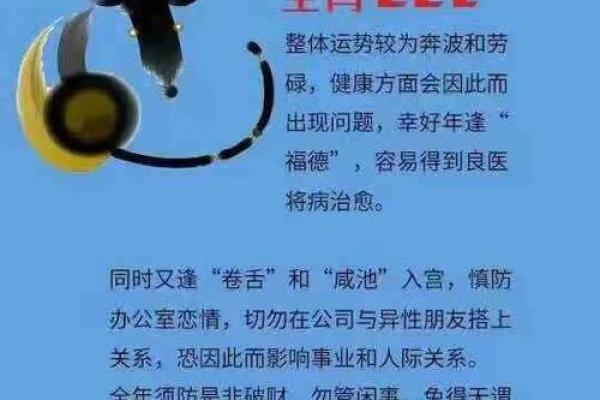 属什么生肖及其相关特点解析
