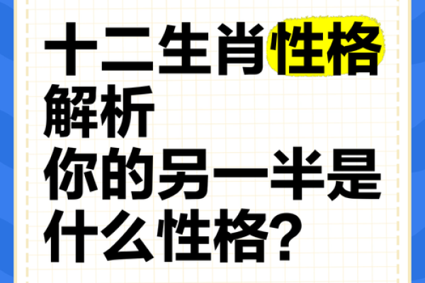 属什么生肖及其相关特点解析