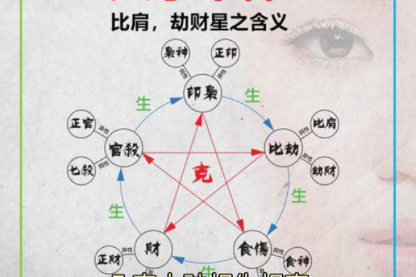 八字十神速查表：快速掌握命理分析的核心要素
