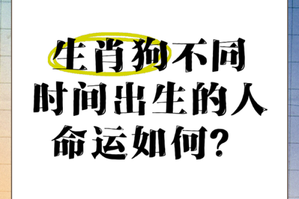 属狗的人在哪个时辰容易成为童子命
