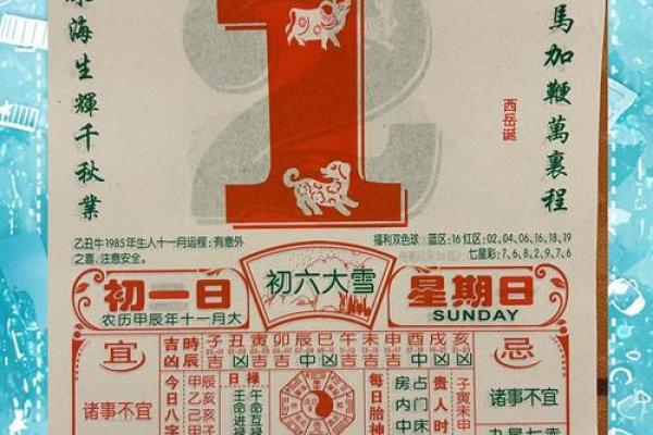 属猪宝宝运势走势与生活建议
