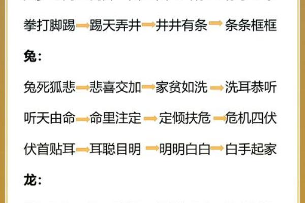 冲锋陷阵与哪个生肖最为契合