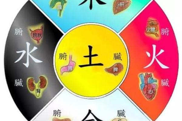 达五行属的深层次解析与运势影响