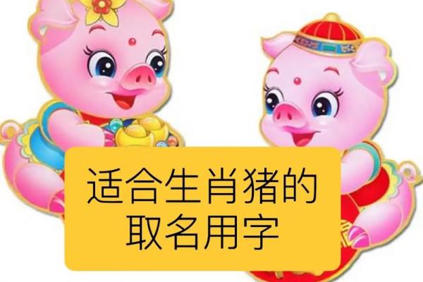 出生属什么生肖？详解属猪人的特点