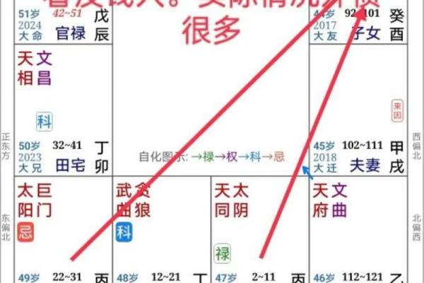 专业八字命理免费分析，透视你的人生起伏