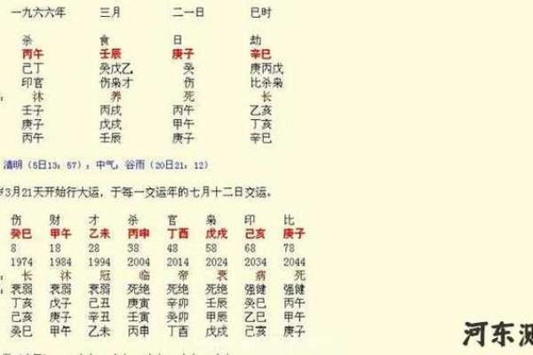 午马八字命理解析：如何影响你的性格与命运