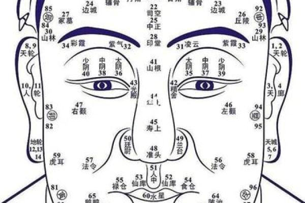 钗钏金命的含义与命理解析
