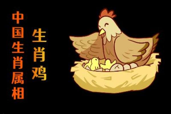 钗钏金命的含义与命理解析