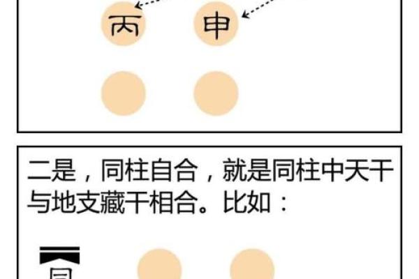 毛八字命理解析与应用技巧