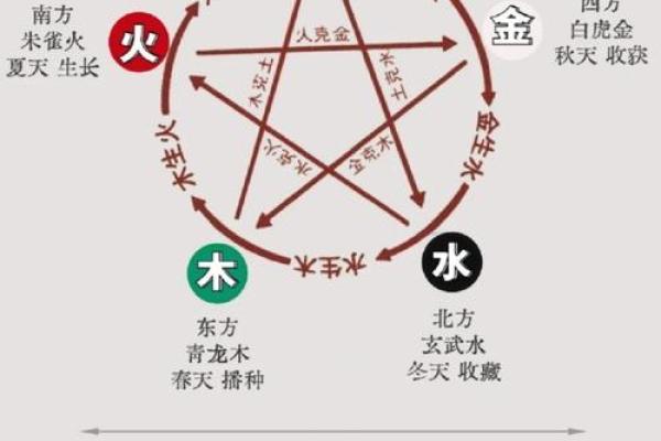 通过八字分析五行平衡与命运走向