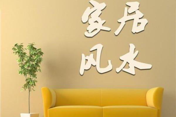如何在家居风水中识别和解决蚂蚁问题
