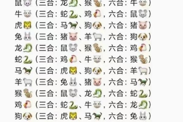 才高八斗与生肖的奇妙关联揭秘