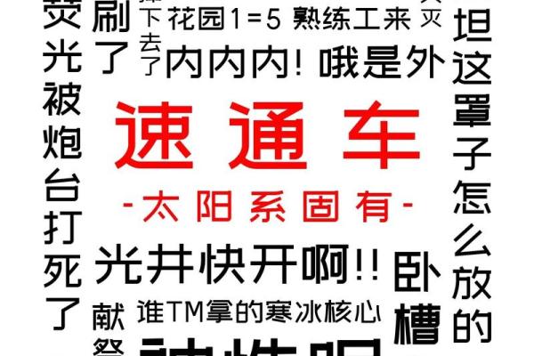 硬命的含义与生活中的体现解析