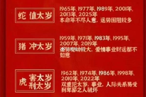 属什么生肖？揭秘出生人的命运与特点
