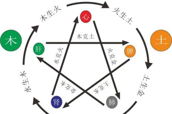 八字暖局的特点与形成因素解析