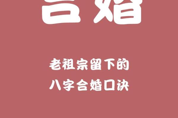 免费婚配属相八字合婚指南：轻松找到命中注定的另一半