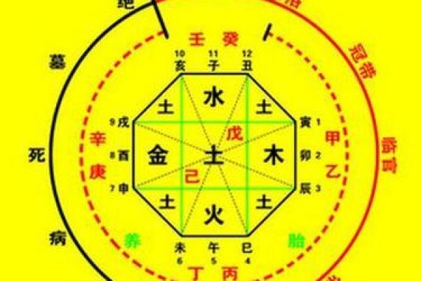 郑字的五行属性解析与命理影响