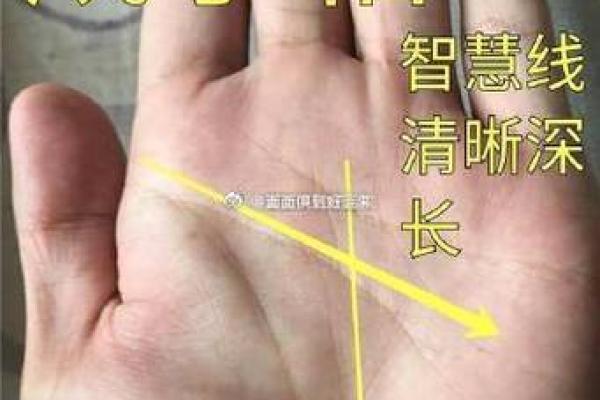 揭秘富贵命的手掌特征
