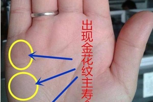 揭秘富贵命的手掌特征
