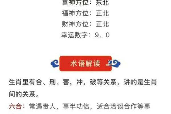 正值哪个生肖？属相运势揭秘