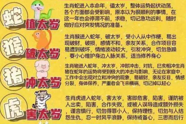 正值哪个生肖？属相运势揭秘