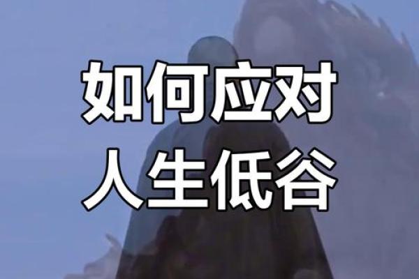 今年我运势：如何通过调整心态迎接变化