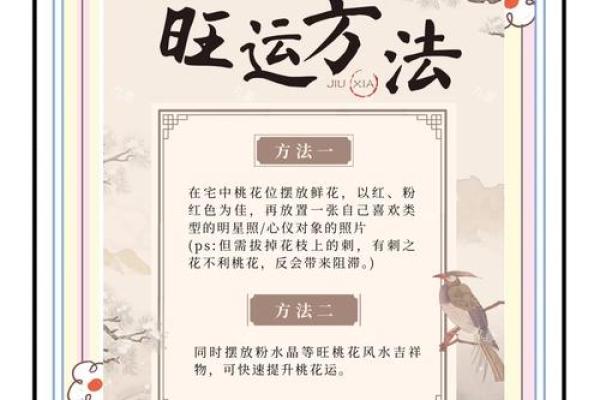 成华区家居风水植物选择与布局指南