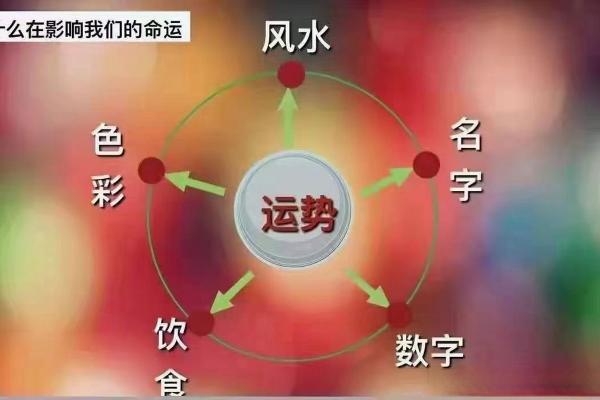 如何通过易经选择家居颜色提升运势