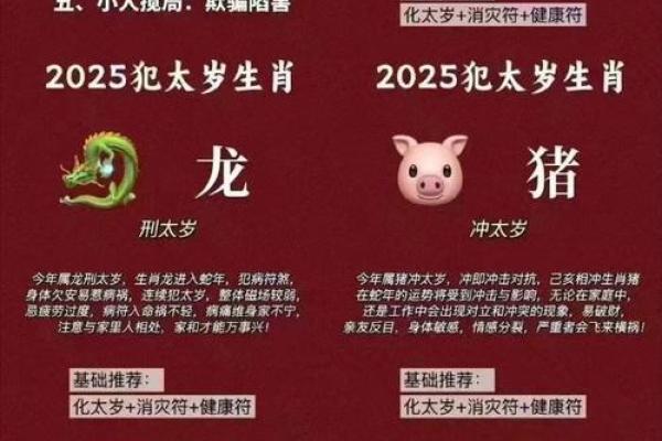 出生的命运与农历生肖解析