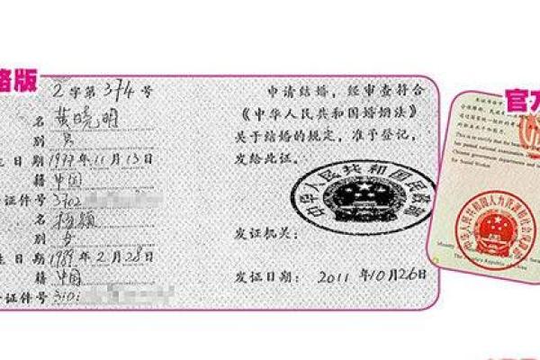 身份证号码与名字的隐秘联系：保护与挑战