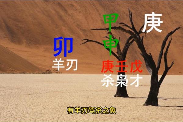 二婚生活中甲子日柱的最佳应对策略