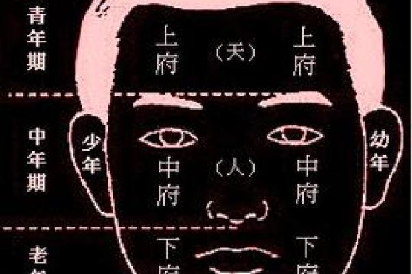 女人面相与风水的关系:从面部特征看财运与健康 女人面相与风水的关系:从面部特征看财运与健康