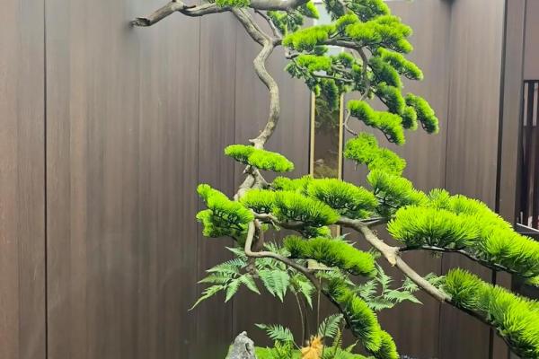 松木家居风水：打造舒适宜居的家居环境